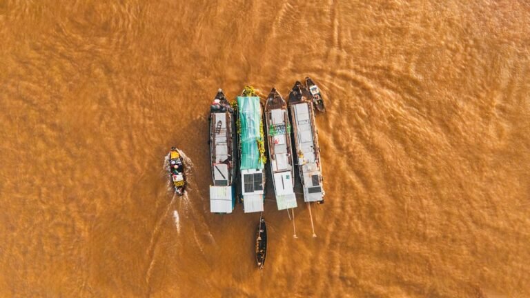 enterprise market activity overview