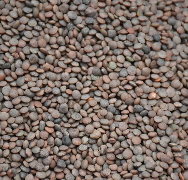 sector level market analysis summary