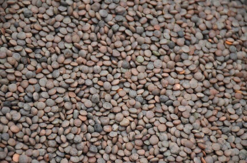 sector level market analysis summary