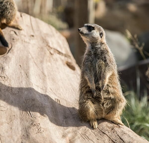 digital workflow overview summary