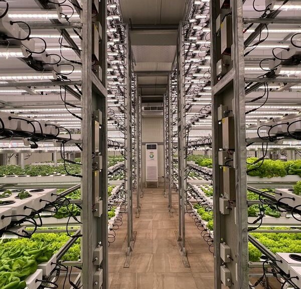 innovative growth strategies unleashed