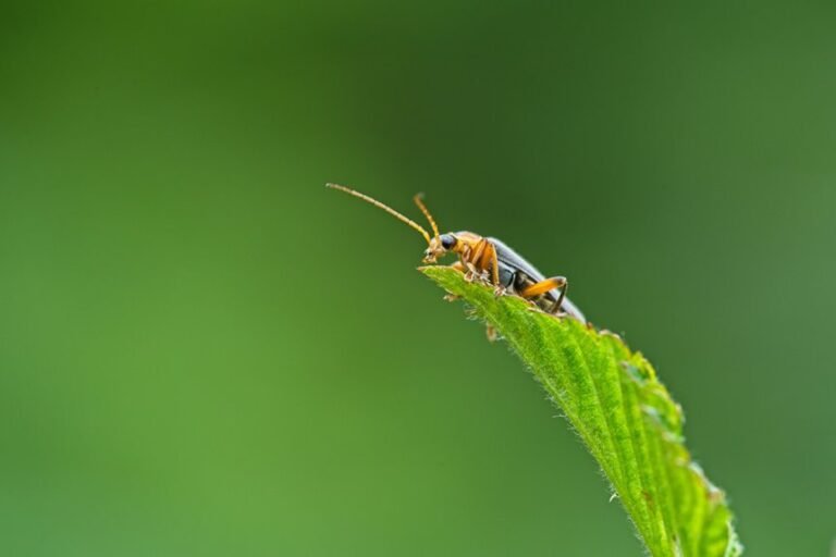 a beginner s guide to debugging evebiohaztech